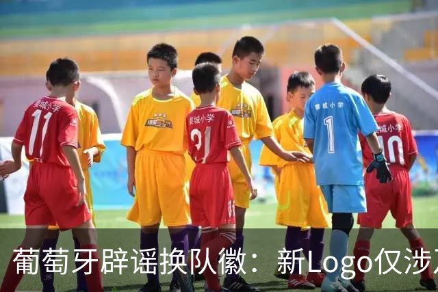 葡萄牙辟谣换队徽：新Logo仅涉及葡萄牙足协的企业和商业视觉形象